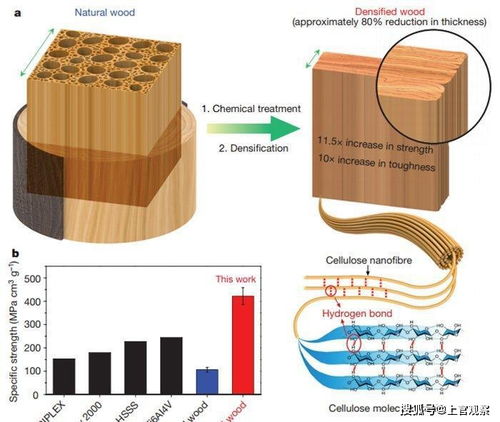 美華人科學(xué)家發(fā)明 超級木材 ,極其廉價能擋子彈,秒殺鈦合金